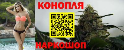 каннабис Будённовск