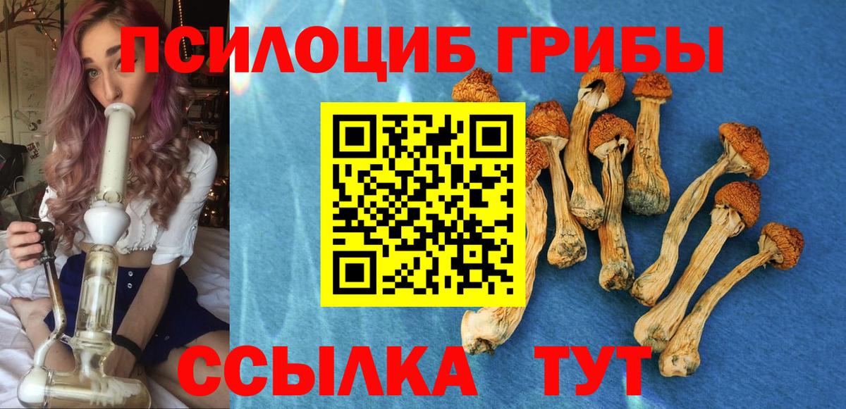 Галлюциногенные грибы MAGIC MUSHROOMS  Вход с VPN  Псков 